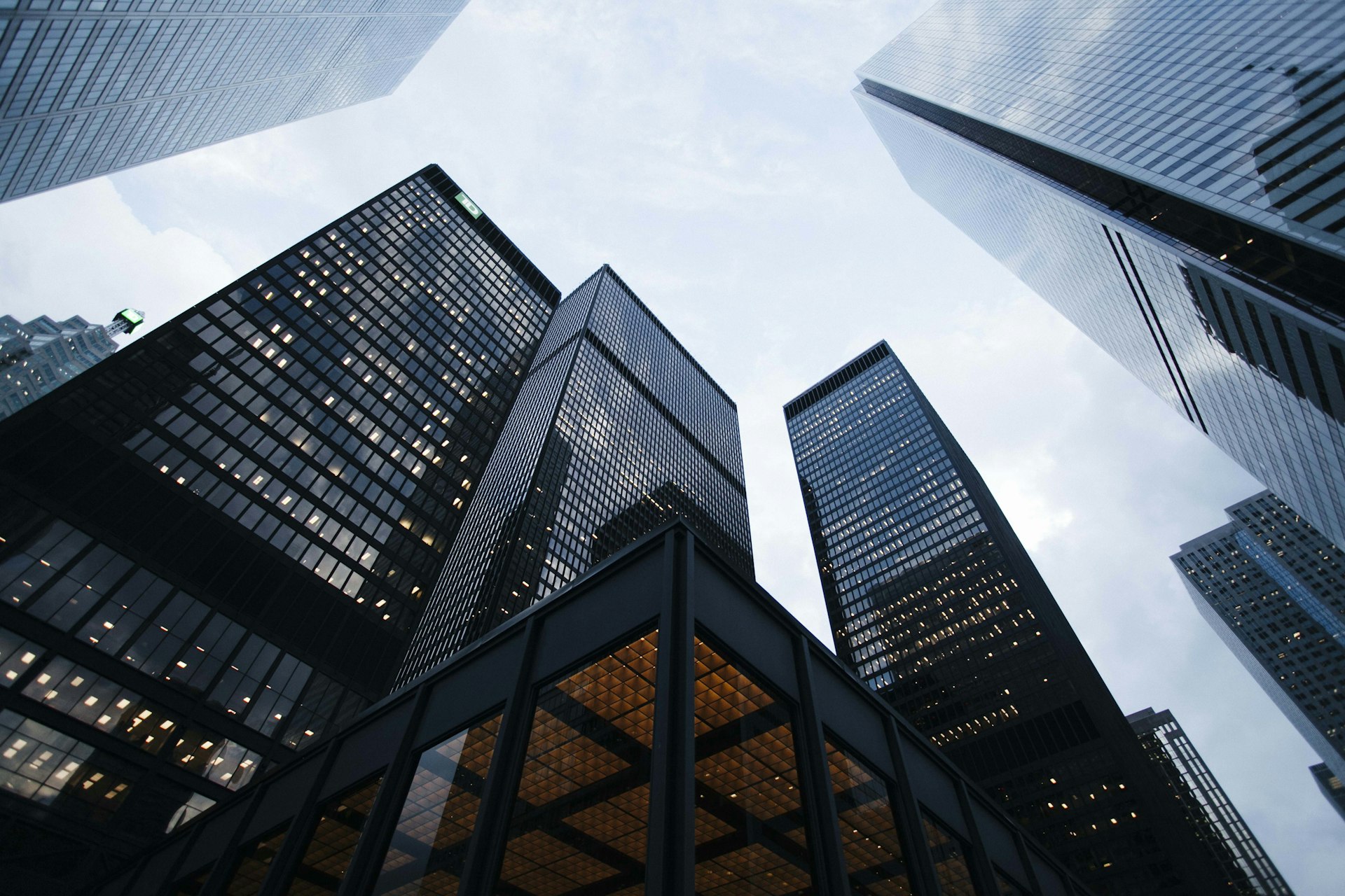 Expert Tax & Audit Advisory